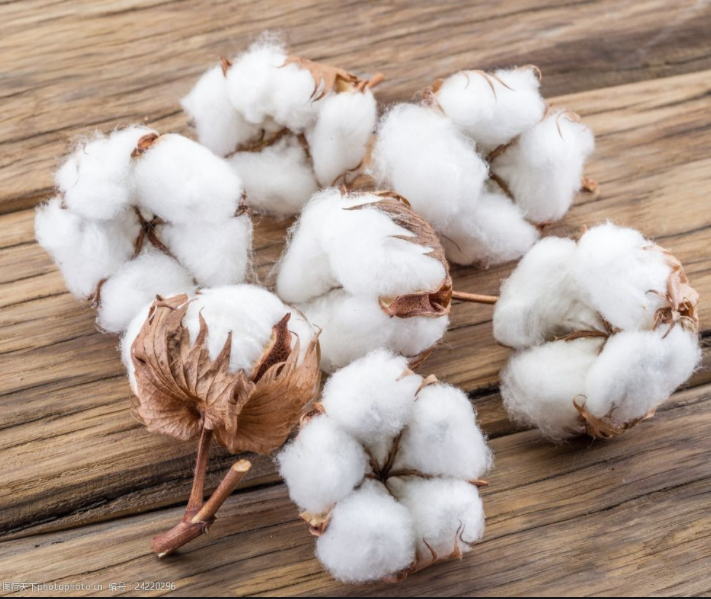 What is the Organic Cotton?